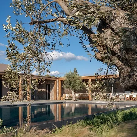 ヴィラ Beachfront Oneiro With Sea Views ポルト・ヘリ